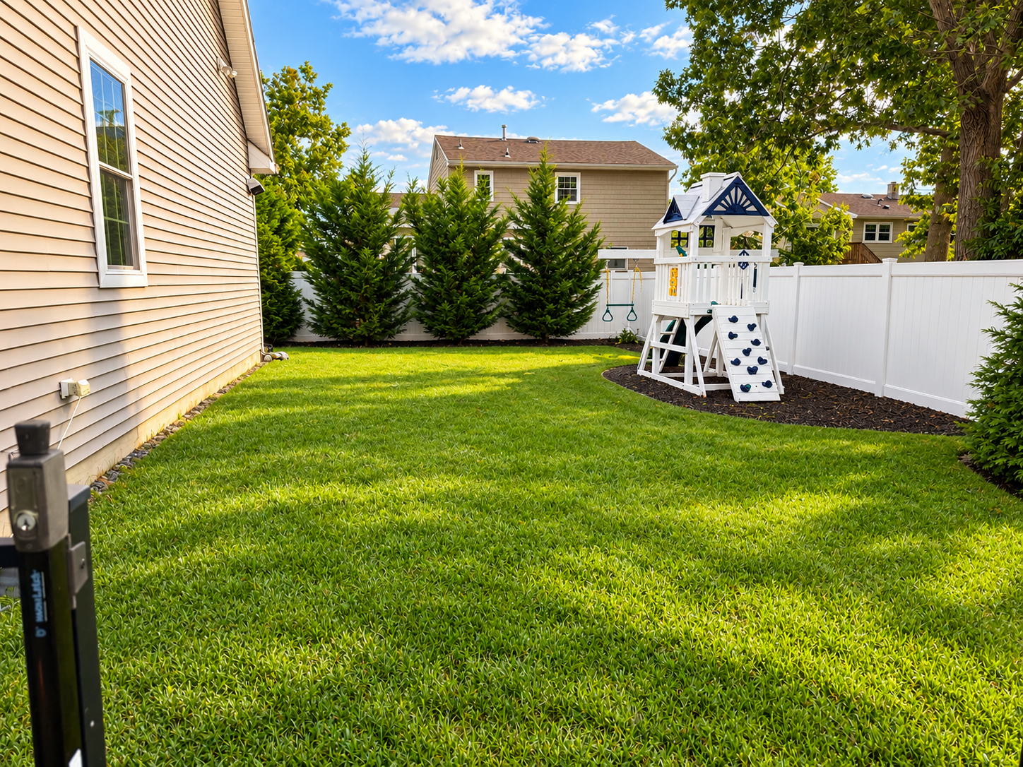Backyard lawn and children's play area